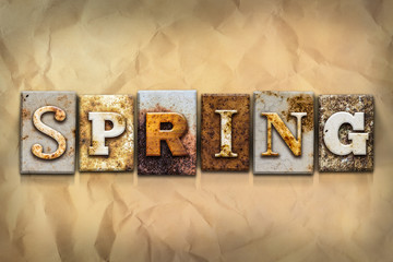 Spring Concept Rusted Metal Type