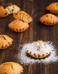 Cupcakes in powdered sugar