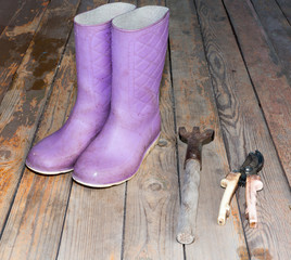 Wellingtons with garden tools on wooden floor