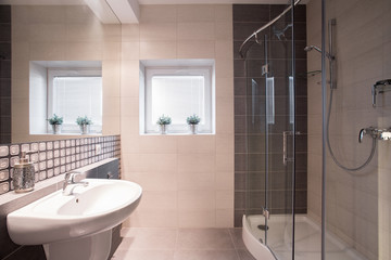 Fancy bathroom with big shower