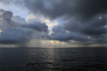 sunrise at coconut grove marina