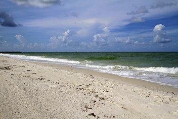 Obraz premium Naples florida, gulf coast beaches