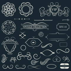 Vintage set decor elements for menu. Elegance old hand drawing s