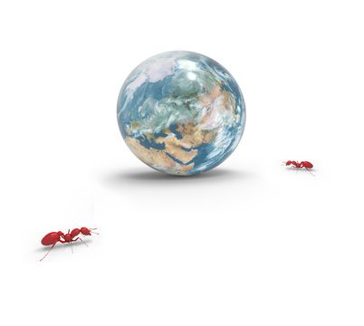 Concept Design Resolution 3D render One Ants on small world and Isolated background