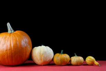 Several pumpkins in a line