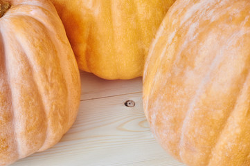 Autumn pumpkins on a wooden background in a rustic style