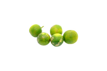 Calamondin or calamansi lime on a white background.