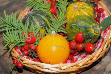 Herbstdekoration, Kürbis, Zierkürbis, Hagebutten, Beeren