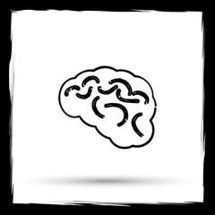 Brain icon