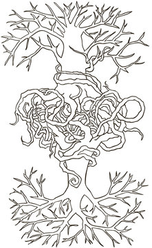 Two trees entwined roots. Hand-drawn vector illustration