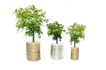 three Coins and plant, isolated over white background