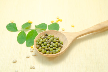 bean on wooden spoon on wood board background