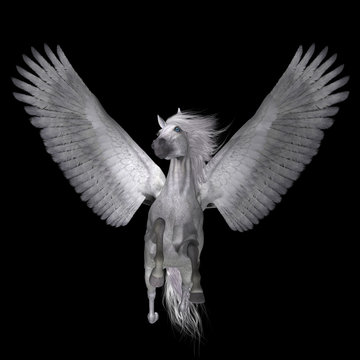 White Pegasus on Black - Pegasus is a legendary divine winged stallion and is the best known creature of Greek mythology.