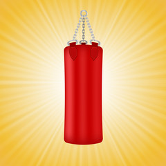 Red Boxing Bag