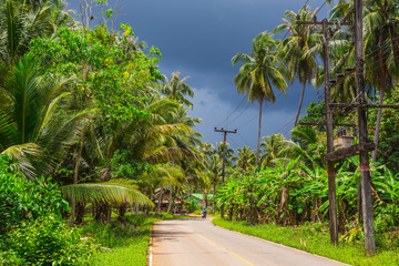Fototapeta premium Jungle before the tropical storm