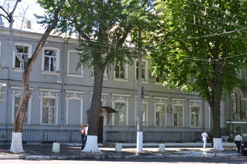 Успенская улица, Одесса, цветущие каштаны на фоне дома
