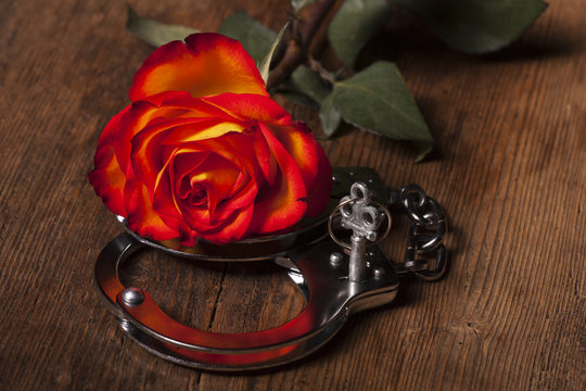 Handschellen und eine Rose
