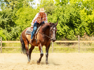 Western cowgirl woman riding horse. Sport activity