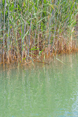 Beautiful landscape with turquoise water