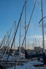 boats in the harbour in the evening sun
