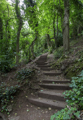 Fototapeta premium Steps