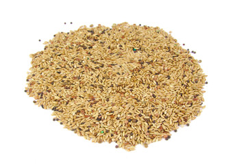 Millet birdseed in a round shape on white background