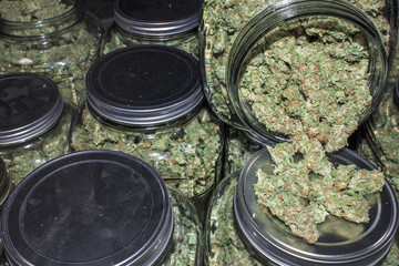 Glass Jars Full of Marijuana Buds Spilling Out