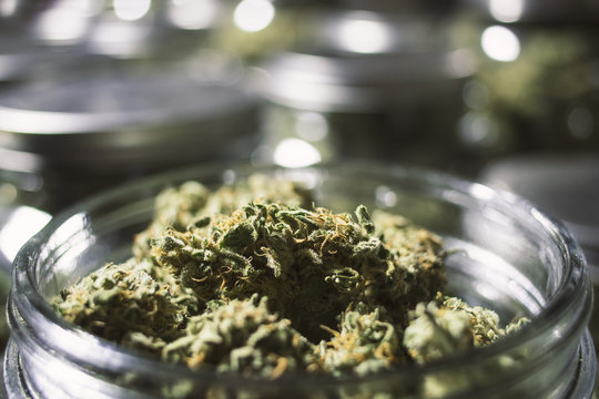 Close Up Marijuana Buds in Glass Jar with Blurry Background