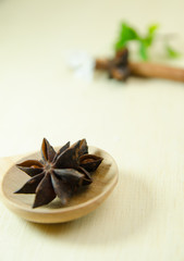 cinnamon and cinnamon stick on wood spoon and wood board