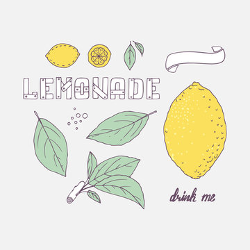 Set of hand drawn elements for lemonade or soda drink package design. Doodle lemon, leaves, icons, logo template and handlettering wooden sign