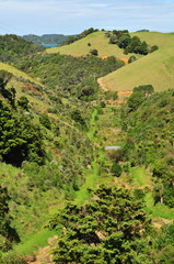 Fototapeta na wymiar Rugged topography of the countryside around Matapouri in new Zealand.