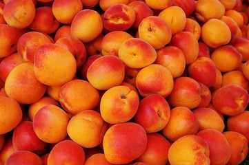 Ripe apricots in bulk at a farmers market