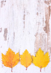 Yellow autumnal leaves with copy space for text on wooden background
