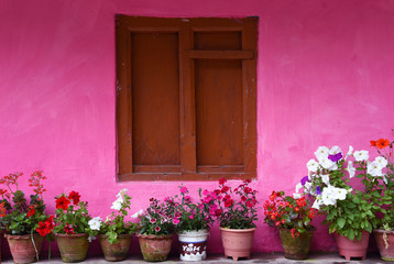 Fototapeta premium closed up the wood windows with pink wall, in village Nepal