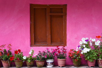 closed up the wood windows with pink wall, in village Nepal