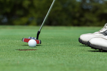 Obraz premium Golf player putting green.