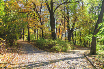 Fork alley in autumn park