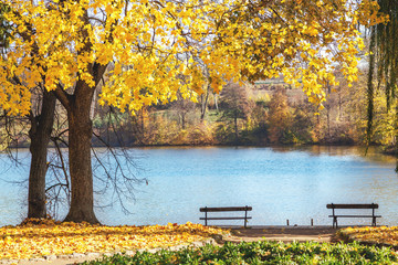 two benches on shore of pond in autumn park
