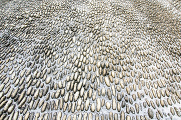 stone texture of wall decoration