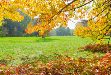 Glade in the park with branches in the foreground autumn