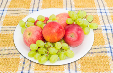 Several apples, nectarines and grape on a white dish