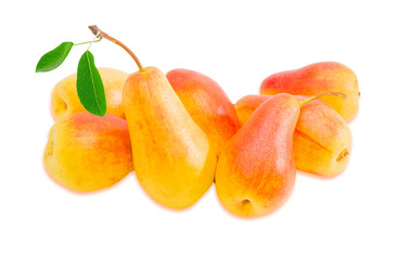 Several European pears on a light background