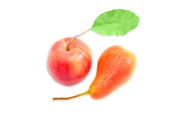 European pear and red apple on a light background