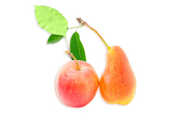European pear and red apple on a light background