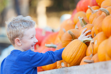 Fototapeta premium kid at pumpkin patch