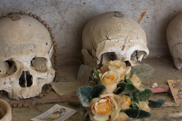 Skulls