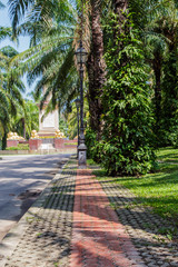 Sidewalk in the garden