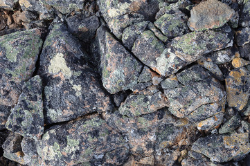 Cracked stone surface covered with lichens