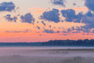 Obraz na płótnie Canvas Fog in the fields landscape pink sky dusk early mornibg summer