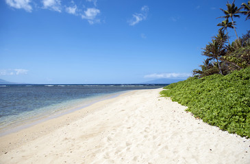 Fototapeta na wymiar Kumimi Beach, Molokai, Hawaii-2